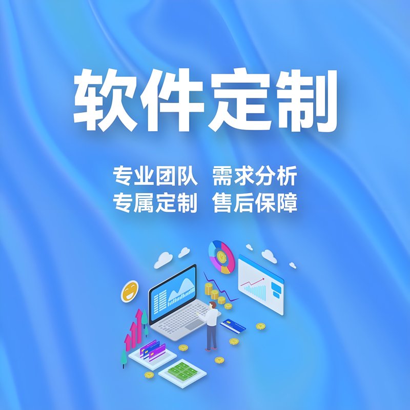 企业信息化选购指南